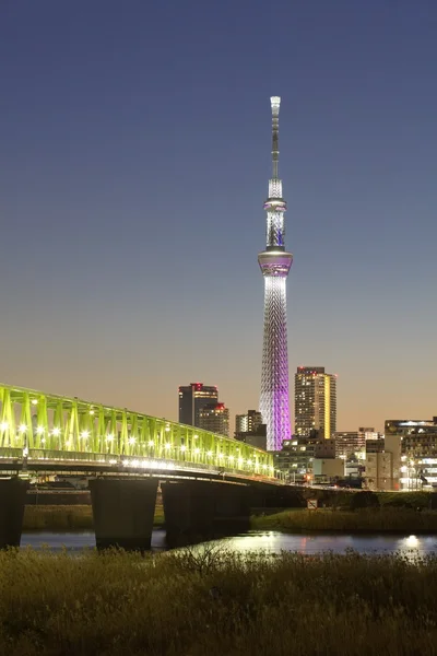 Tokyo Sky ağaç — Stok fotoğraf