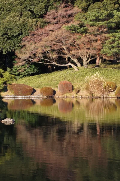 Japanese garden — Stock Photo, Image