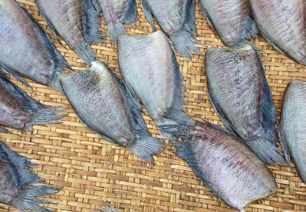 Drying snakeskin gourami fishes — Stock Photo, Image