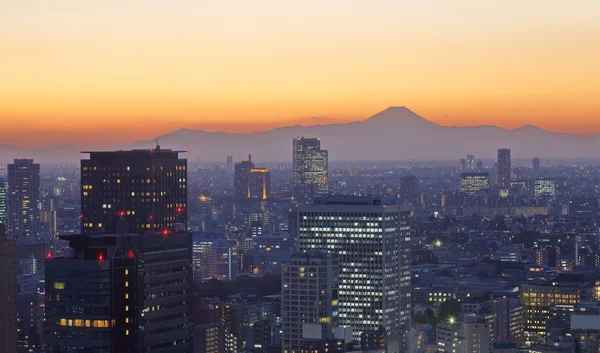 Utsikt över tokyo stad — Stockfoto