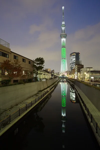 Sky tree vánoční osvětlení — Stock fotografie