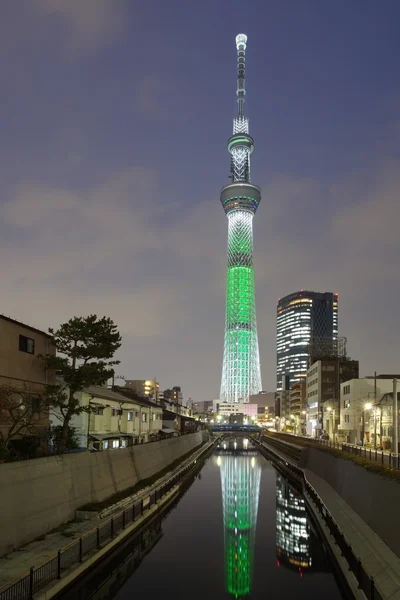 天空树圣诞照明 — 图库照片