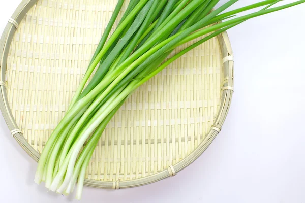 Cebolas frescas de primavera — Fotografia de Stock