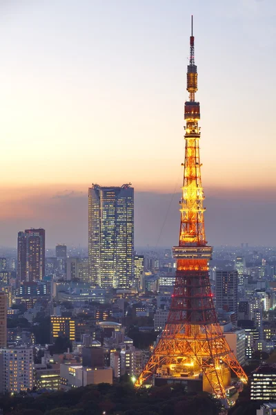 Vista sulla città di Tokyo — Foto Stock