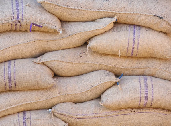 Ganoderma Lucidium - ling zhi mantar