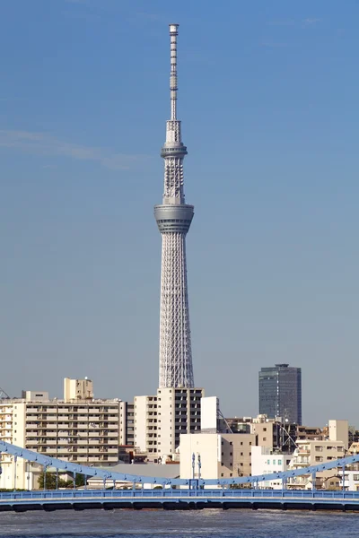 टोक्यो आकाश पेड़ — स्टॉक फ़ोटो, इमेज