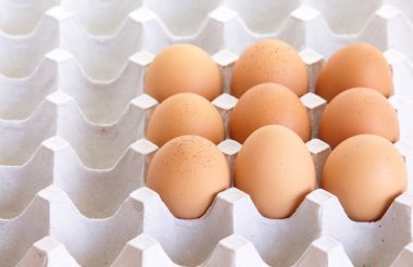 taze kahverengi yumurta