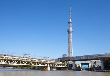 View of Tokyo Skytree clipart