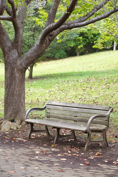 Pareja sentada en un banco bajo un árbol fotos de stock, imágenes de Pareja  sentada en un banco bajo un árbol sin royalties | Depositphotos