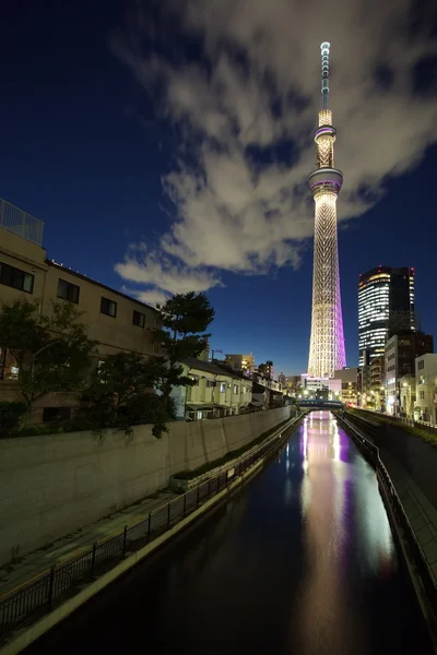 Tokyjskou sky tree — Stock fotografie