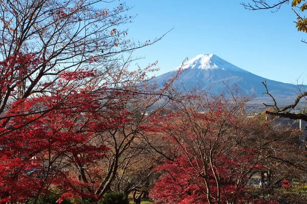 山富士和阿希湖 — 图库照片