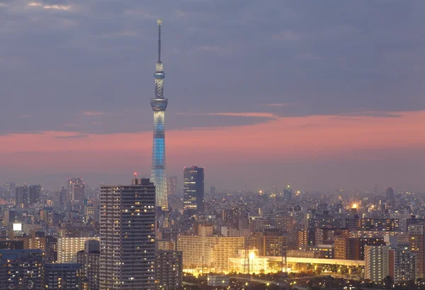 Tokyjskou sky tree — Stock fotografie