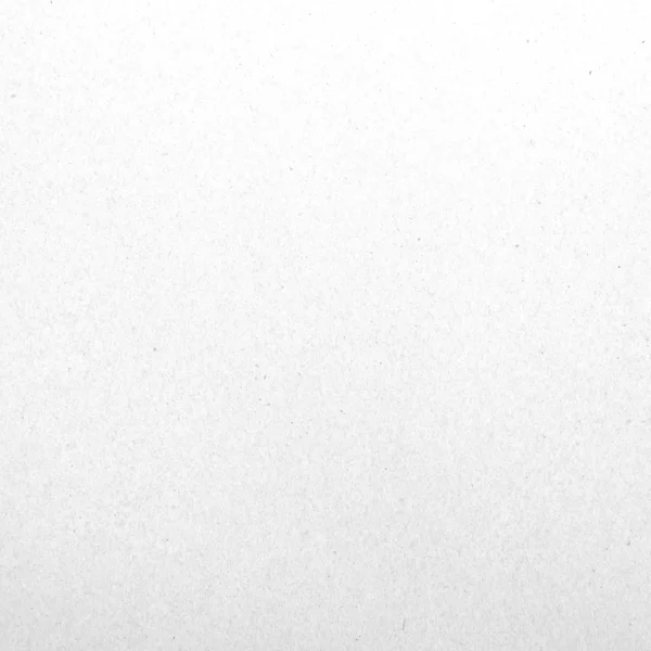 Biała ściana lub pusty papier — Zdjęcie stockowe