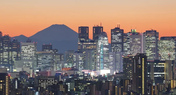 View of Tokyo city — Stock Photo, Image