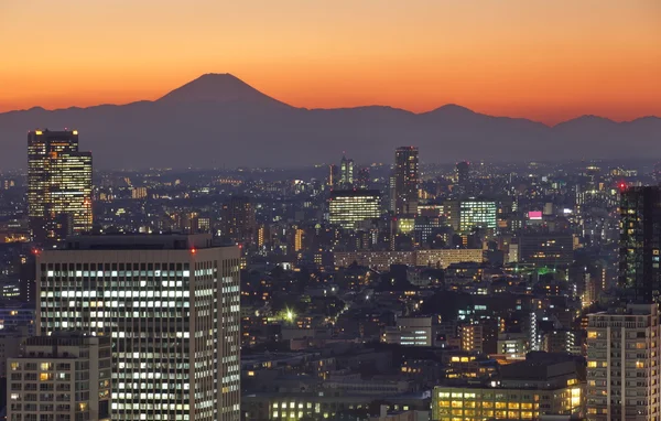 Veduta della città di Tokyo — Foto Stock