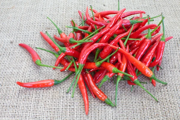 Frische rote Paprika — Stockfoto