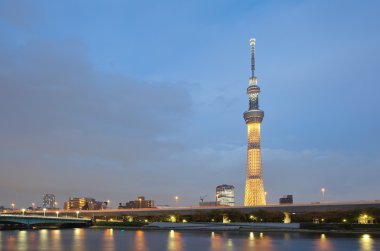 Tokyo Sky ağaç