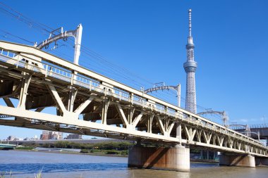 Saint Petersburg'da köprü