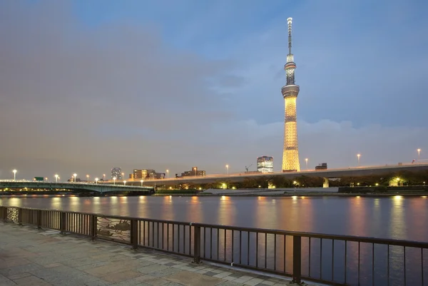 Tokyjskou sky tree — Stock fotografie