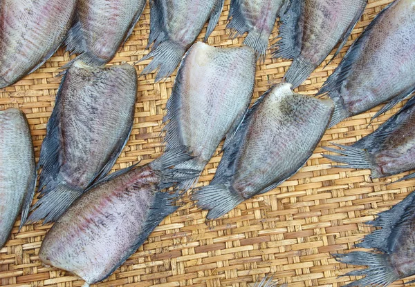 Drying snakeskin gourami fishs in — Stock Photo, Image