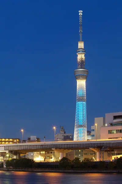 Albero cielo di Tokyo — Foto Stock