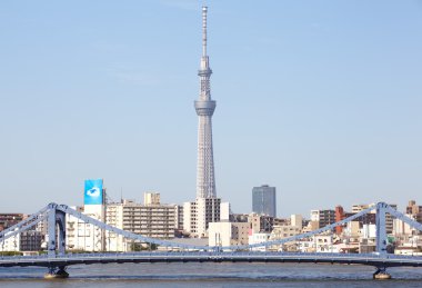 Tokyo Sky ağaç