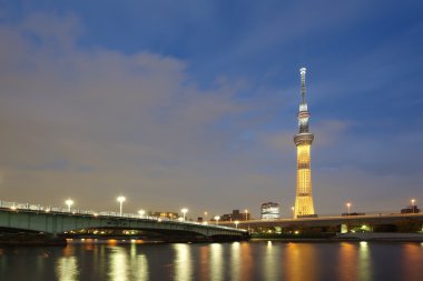 Tokyo Sky ağaç