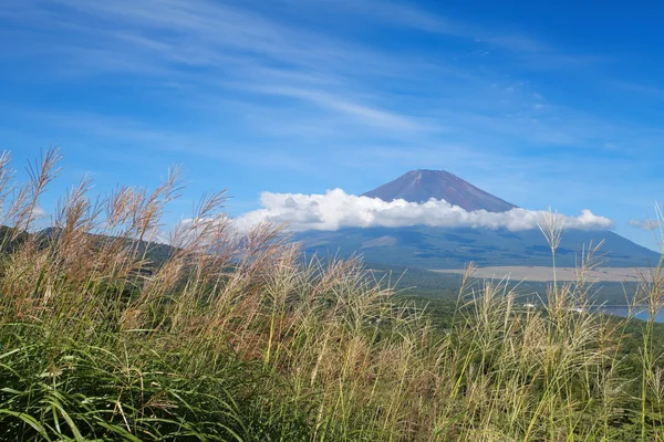 Berg fuji in het voorjaar van — Stockfoto