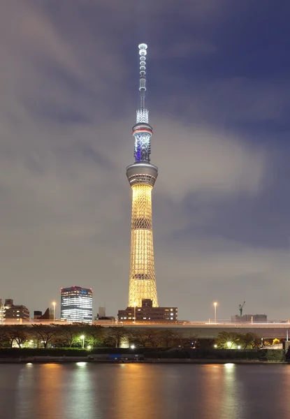 Tokyjskou sky tree — Stock fotografie