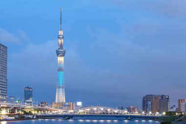 Tokyo şehir manzarası