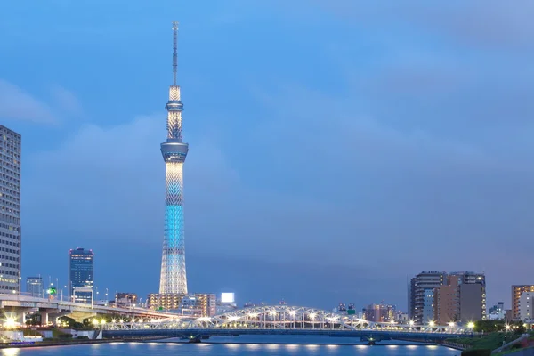 Uitzicht op de stad Tokyo — Stockfoto