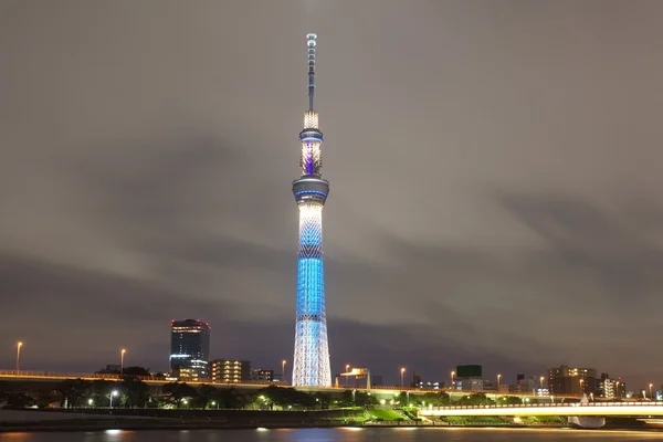 Pohon langit Tokyo — Stok Foto