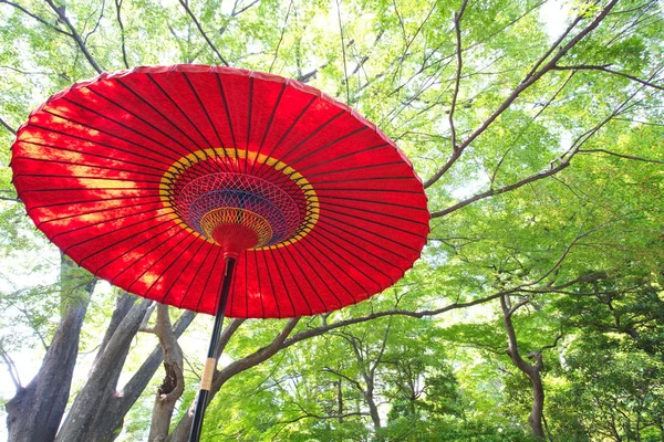 Yeşil bir Japon bahçesi