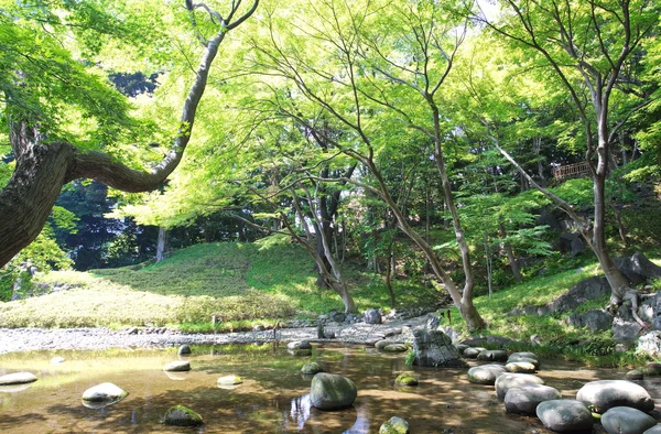 绿色的日本花园 — 图库照片