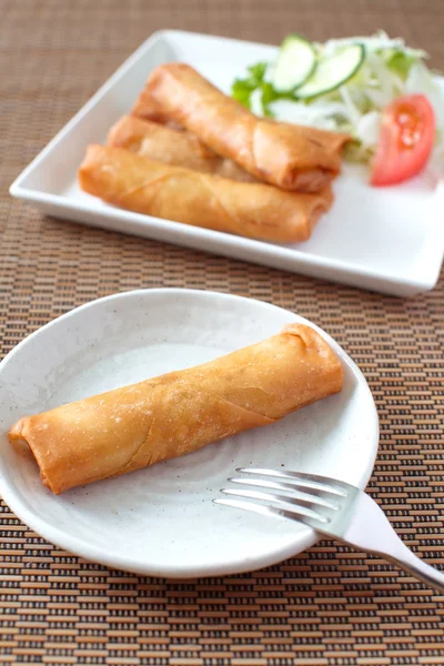 Fried Egg Rolls — Stock Photo, Image