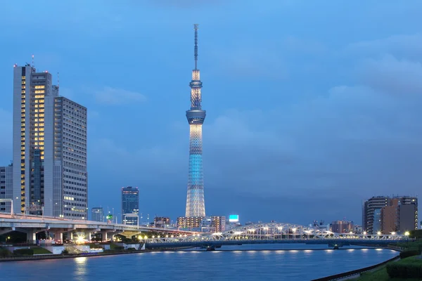 Tokyo Sky ağaç — Stok fotoğraf