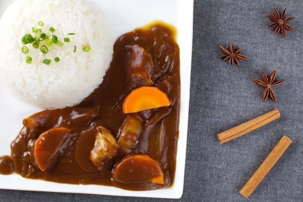 Curry med ris i japansk stil — Stockfoto