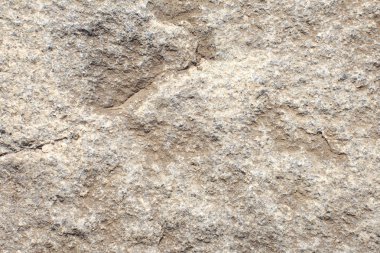 Gri beton duvar
