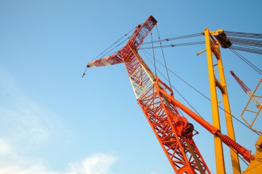 Makara mavi gökyüzü karşı
