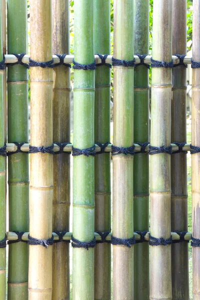 Природні бамбук текстури — стокове фото