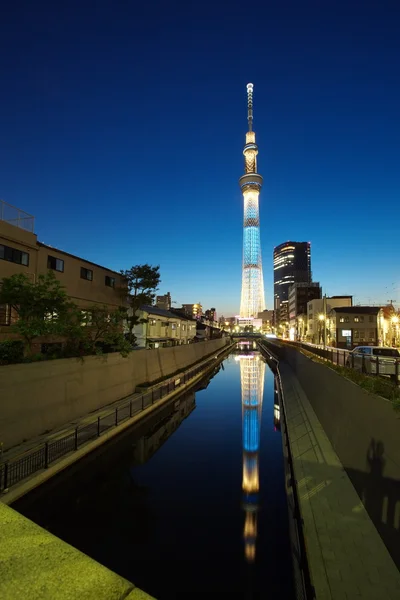 Tokyo Sky ağaç — Stok fotoğraf