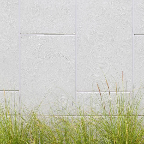 灰色の壁と緑の草 — ストック写真