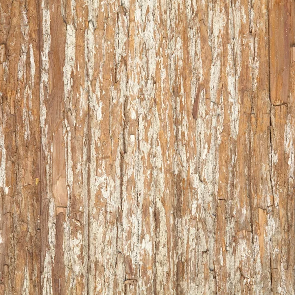 Legno naturale marrone — Foto Stock