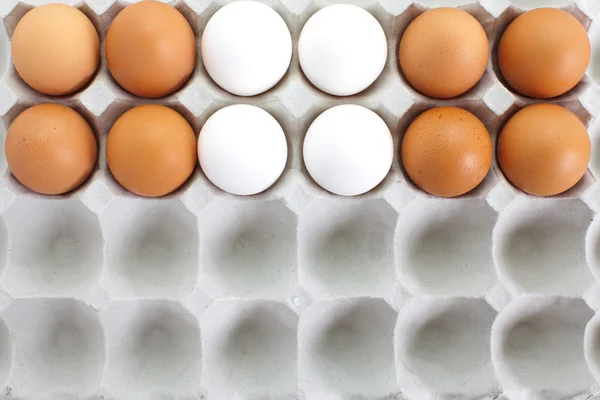 Fresh eggs in pater tray — Stock Photo, Image