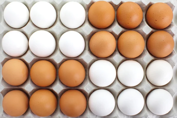 Čerstvá vejce v zásobníku pater — Stock fotografie