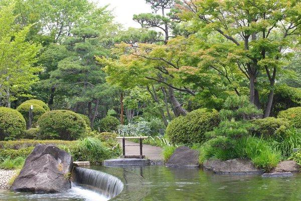 Verde jardín japonés — Foto de Stock