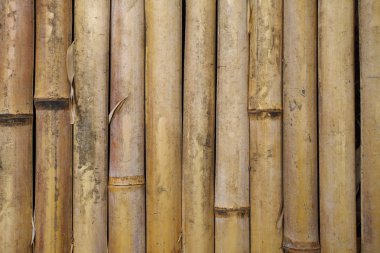 Ahşap çit dikey stil