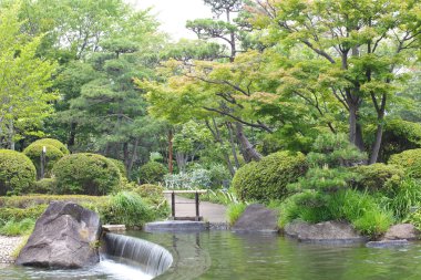 Yeşil bir Japon bahçesi