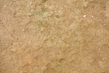 Yumuşak doku turuncu