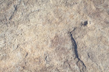 kahverengi beton duvar